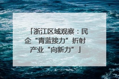浙江区域观察：民企“青蓝接力”折射产业“向新力”