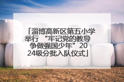 淄博高新区第五小学举行 “牢记党的教导 争做强国少年”2024级分批入队仪式