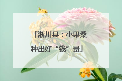 淅川县：小果桑种出好“钱”景