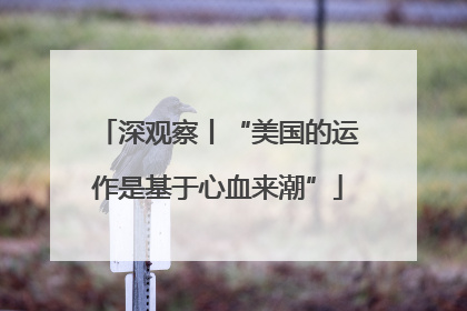 深观察丨“美国的运作是基于心血来潮”