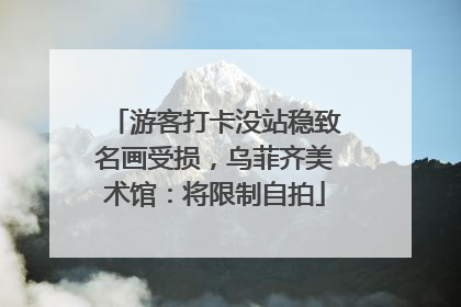 游客打卡没站稳致名画受损，乌菲齐美术馆：将限制自拍