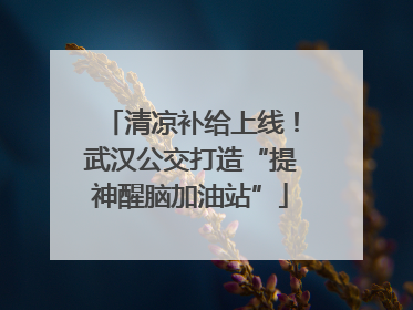 清凉补给上线！武汉公交打造“提神醒脑加油站”