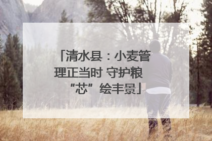 清水县：小麦管理正当时 守护粮“芯”绘丰景