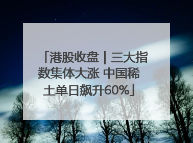 港股收盘｜三大指数集体大涨 中国稀土单日飙升60%