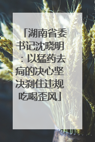 湖南省委书记沈晓明：以猛药去疴的决心坚决刹住违规吃喝歪风