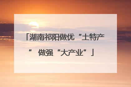 湖南祁阳做优“土特产” 做强“大产业”