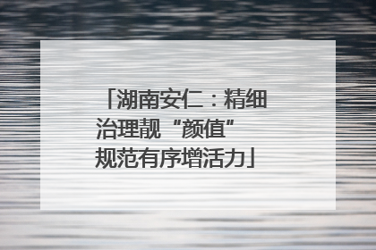 湖南安仁：精细治理靓“颜值” 规范有序增活力