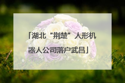 湖北“荆楚”人形机器人公司落户武昌