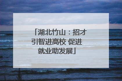 湖北竹山：招才引智进高校 促进就业助发展