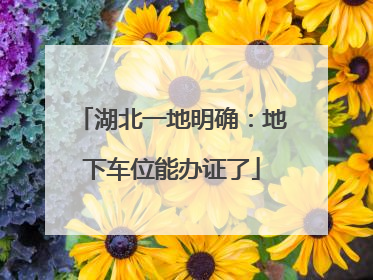 湖北一地明确：地下车位能办证了