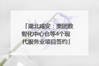 湖北咸安：美团数智化中心仓等4个现代服务业项目签约