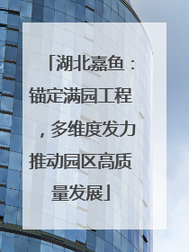 湖北嘉鱼：锚定满园工程，多维度发力推动园区高质量发展