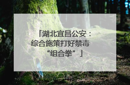 湖北宜昌公安：综合施策打好禁毒“组合拳”