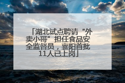 湖北试点聘请“外卖小哥”担任食品安全监督员，襄阳首批11人已上岗