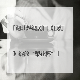 湖北越调剧目《顶灯》绽放“梨花杯”