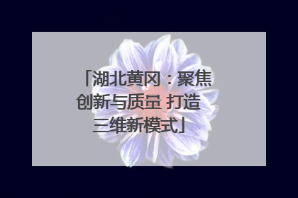 湖北黄冈：聚焦创新与质量 打造三维新模式