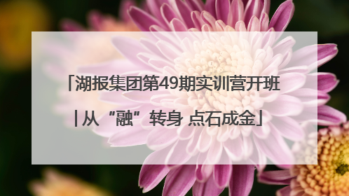 湖报集团第49期实训营开班│从“融”转身 点石成金
