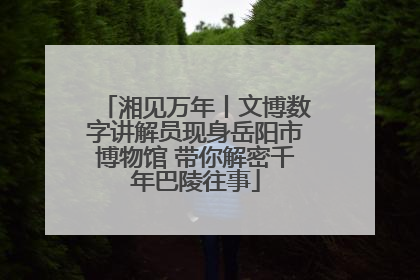 湘见万年丨文博数字讲解员现身岳阳市博物馆 带你解密千年巴陵往事