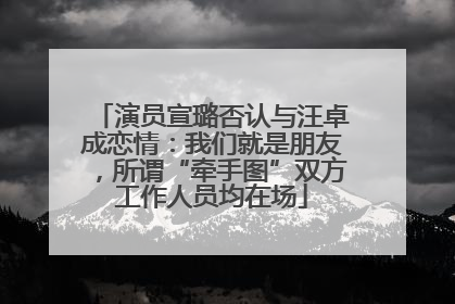 演员宣璐否认与汪卓成恋情：我们就是朋友，所谓“牵手图”双方工作人员均在场