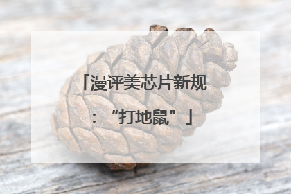 漫评美芯片新规：“打地鼠”