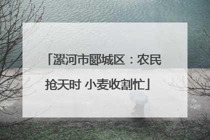 漯河市郾城区：农民抢天时 小麦收割忙