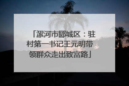 漯河市郾城区：驻村第一书记王元明带领群众走出致富路
