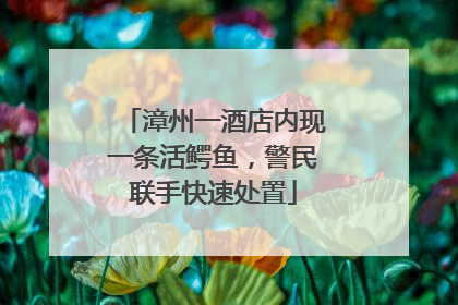 漳州一酒店内现一条活鳄鱼，警民联手快速处置