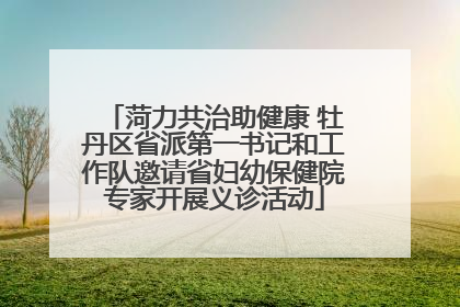 菏力共治助健康 牡丹区省派第一书记和工作队邀请省妇幼保健院专家开展义诊活动