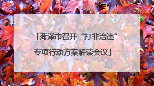 菏泽市召开“打非治违”专项行动方案解读会议