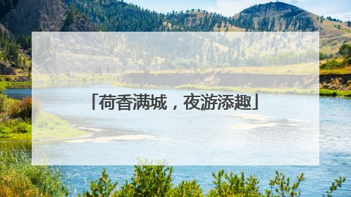 荷香满城，夜游添趣