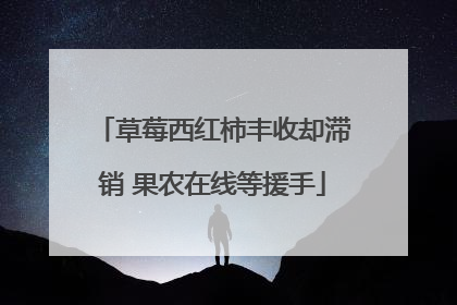 草莓西红柿丰收却滞销 果农在线等援手