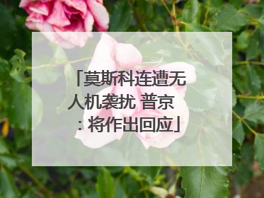 莫斯科连遭无人机袭扰 普京：将作出回应