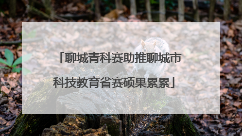 聊城青科赛助推聊城市科技教育省赛硕果累累