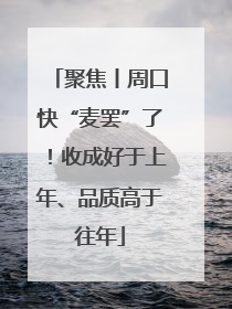 聚焦丨周口快“麦罢”了！收成好于上年、品质高于往年