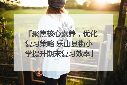 聚焦核心素养，优化复习策略 乐山县街小学提升期末复习效率
