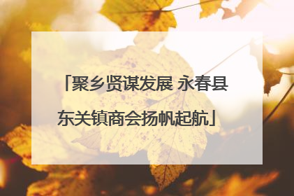 聚乡贤谋发展 永春县东关镇商会扬帆起航