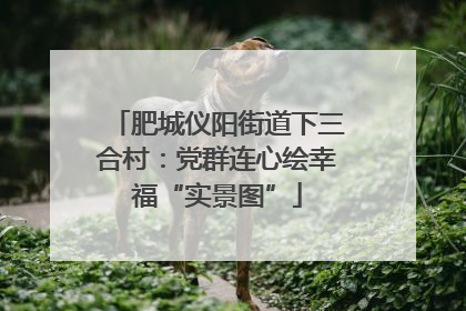 肥城仪阳街道下三合村：党群连心绘幸福“实景图”