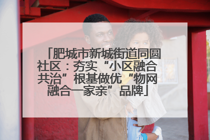 肥城市新城街道同圆社区：夯实“小区融合共治”根基做优“物网融合一家亲”品牌