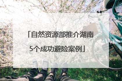 自然资源部推介湖南5个成功避险案例