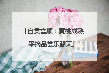 自贡富顺：黄桃成熟 采摘品尝乐翻天