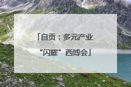 自贡：多元产业“闪耀”西博会
