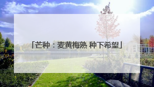 芒种：麦黄梅熟 种下希望