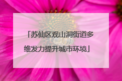 苏仙区观山洞街道多维发力提升城市环境
