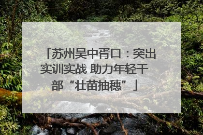 苏州吴中胥口：突出实训实战 助力年轻干部“壮苗抽穗”