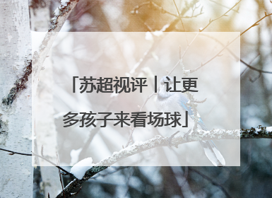 苏超视评︱让更多孩子来看场球