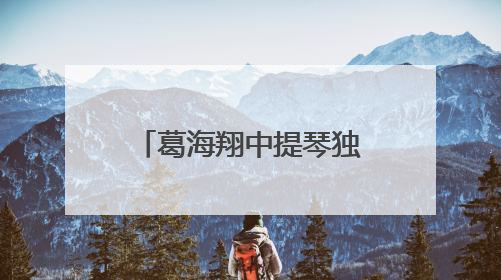 葛海翔中提琴独奏音乐会在苏州第六中学精彩举行