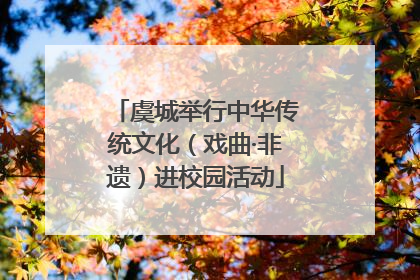虞城举行中华传统文化（戏曲·非遗）进校园活动
