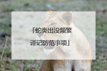 蛇类出没频繁 谨记防范事项