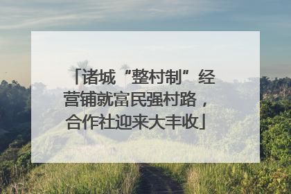 诸城“整村制”经营铺就富民强村路，合作社迎来大丰收