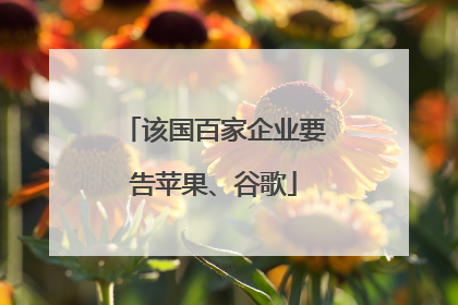该国百家企业要告苹果、谷歌